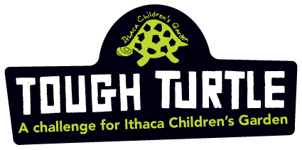 Tough Turtle Ithaca