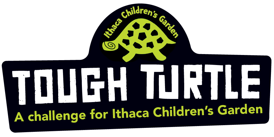 Tough Turtle Ithaca